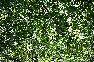 《破晓传说》去掉DLC推广 增加游戏存档转移功能