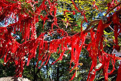 科幻潜行动作《钢铁之种》新预告 女主相当厉害