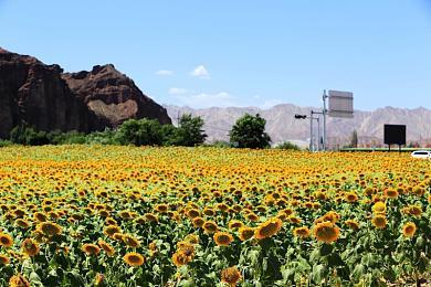 《漫威争锋》封闭B测7月24日开启 支持跨平台联机